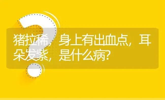 猪拉稀,身上有出血点,耳朵发紫,是什么病? | 养殖问题解答