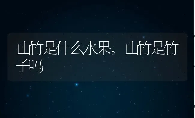 山竹是什么水果,山竹是竹子吗 | 养殖常见问题