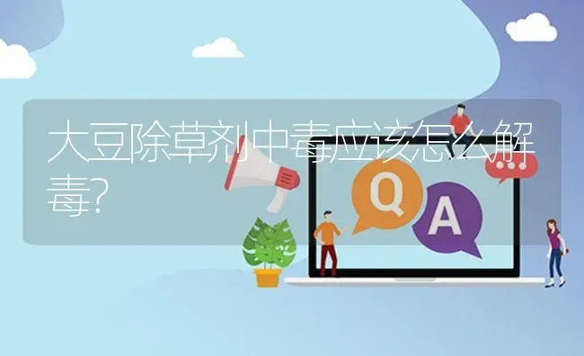 大豆除草剂中毒应该怎么解毒? | 养殖问题解答