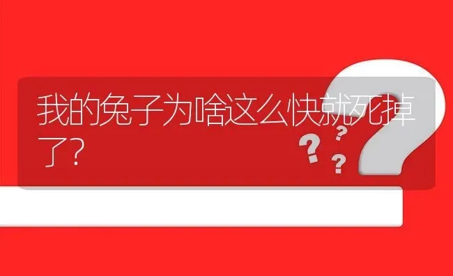 我的兔子为啥这么快就死掉了? | 养殖问题解答