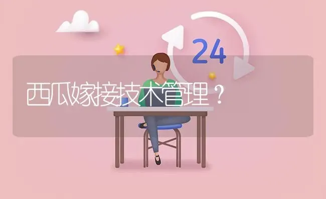 西瓜嫁接技术管理? | 养殖问题解答