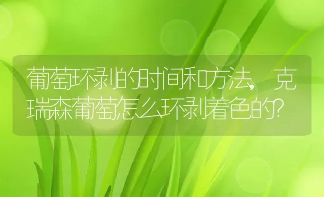 葡萄环剥的时间和方法,克瑞森葡萄怎么环剥着色的？ | 养殖常见问题