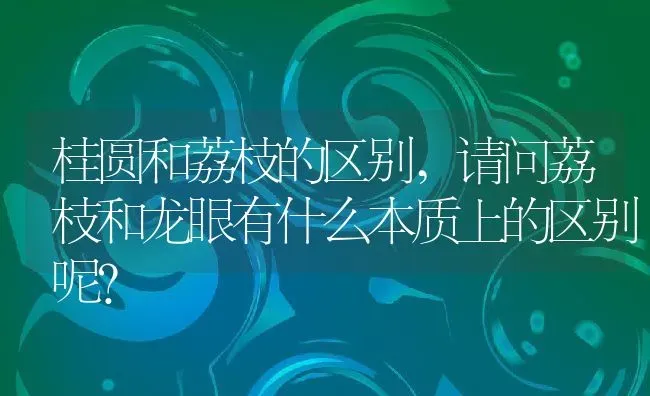 桂圆和荔枝的区别,请问荔枝和龙眼有什么本质上的区别呢？ | 养殖常见问题