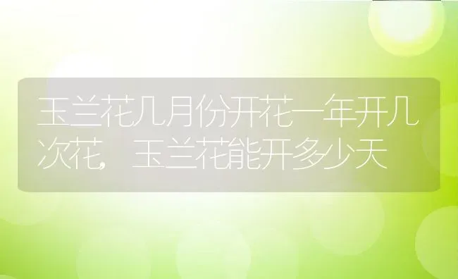 玉兰花几月份开花一年开几次花,玉兰花能开多少天 | 养殖常见问题