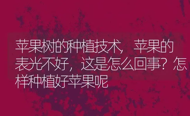 苹果树的种植技术,苹果的表光不好，这是怎么回事？怎样种植好苹果呢 | 养殖常见问题