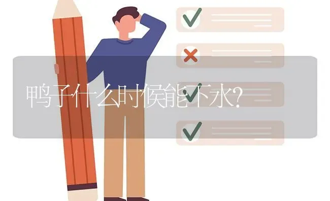 鸭子什么时候能下水? | 养殖问题解答
