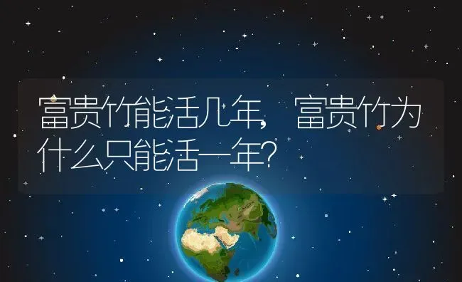 富贵竹能活几年,富贵竹为什么只能活一年？ | 养殖常见问题