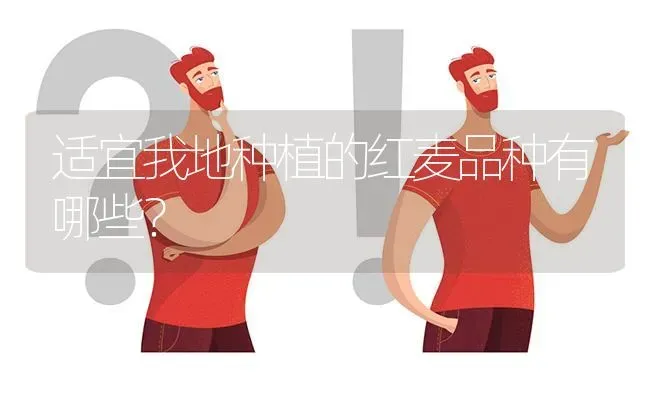 适宜我地种植的红麦品种有哪些? | 养殖问题解答