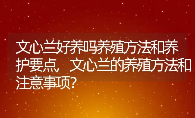 文心兰好养吗养殖方法和养护要点,文心兰的养殖方法和注意事项？ | 养殖常见问题