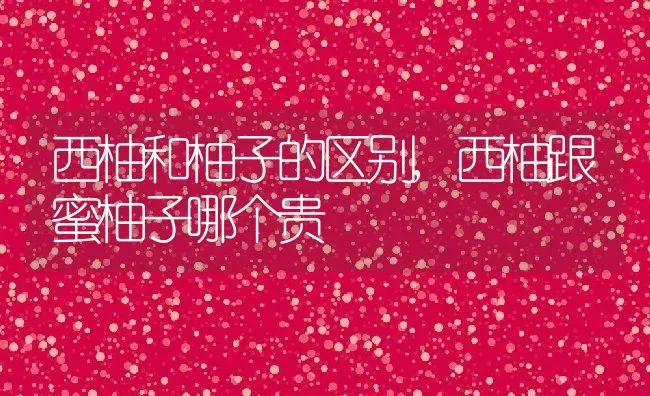 西柚和柚子的区别,西柚跟蜜柚子哪个贵 | 养殖常见问题
