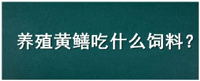 养殖黄鳝吃什么饲料 | 科普知识