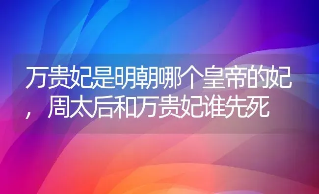 万贵妃是明朝哪个皇帝的妃,周太后和万贵妃谁先死 | 养殖常见问题