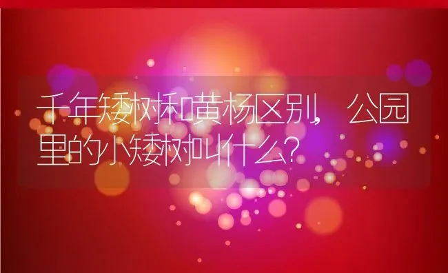 千年矮树和黄杨区别,公园里的小矮树叫什么？ | 养殖常见问题