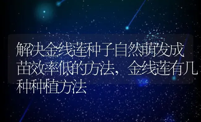解决金线莲种子自然萌发成苗效率低的方法,金线莲有几种种植方法 | 养殖常见问题