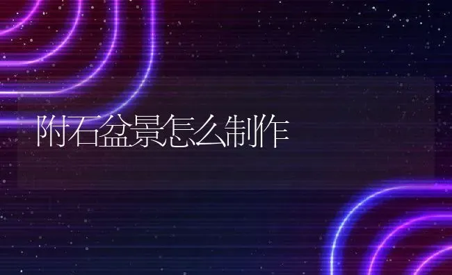 附石盆景怎么制作 | 养殖常见问题