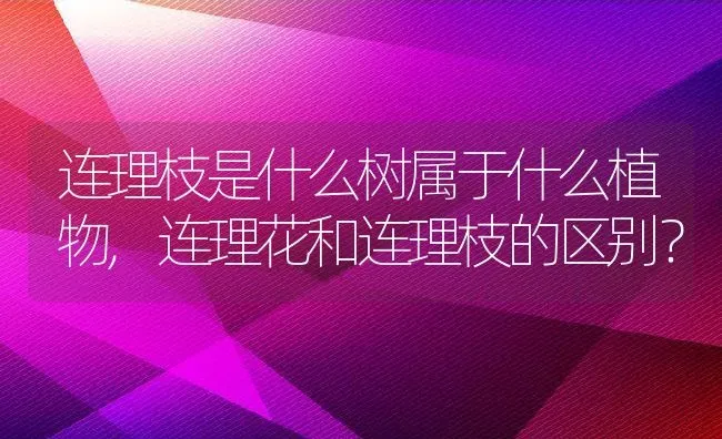 连理枝是什么树属于什么植物,连理花和连理枝的区别？ | 养殖常见问题