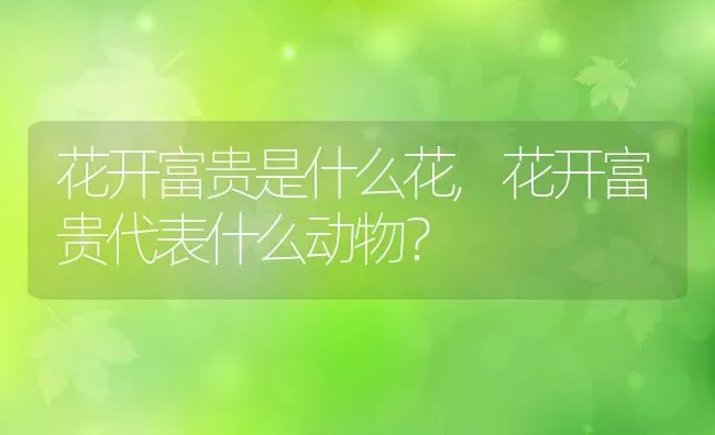 花开富贵是什么花,花开富贵代表什么动物？ | 养殖常见问题