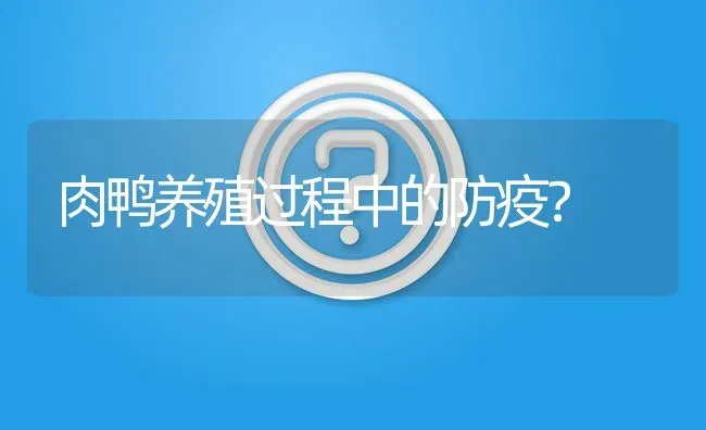 肉鸭养殖过程中的防疫? | 养殖问题解答