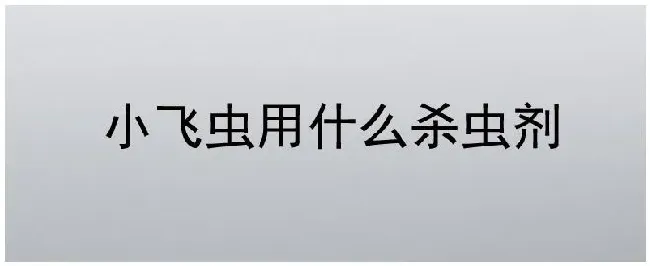 小飞虫用什么杀虫剂 | 农业常识