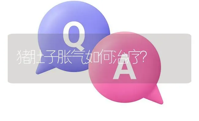 猪肚子胀气如何治疗? | 养殖问题解答