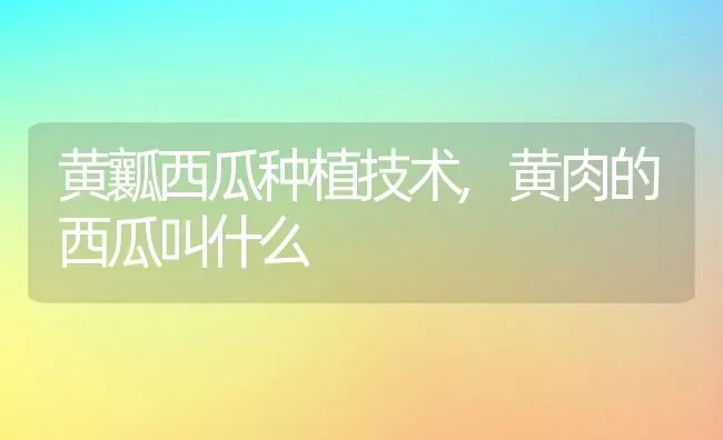 大蒜种植方法步骤及技术管理要点介绍,幼儿园种植大蒜的方法与管理 | 养殖常见问题