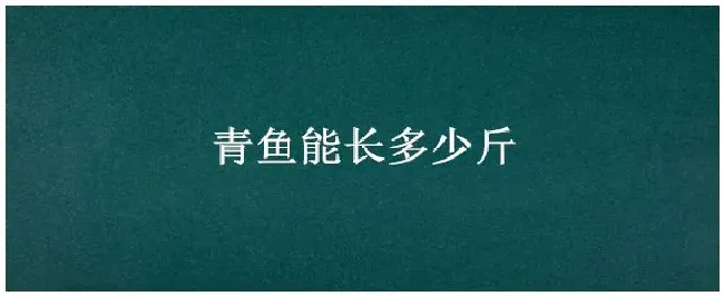 青鱼能长多少斤 | 生活常识
