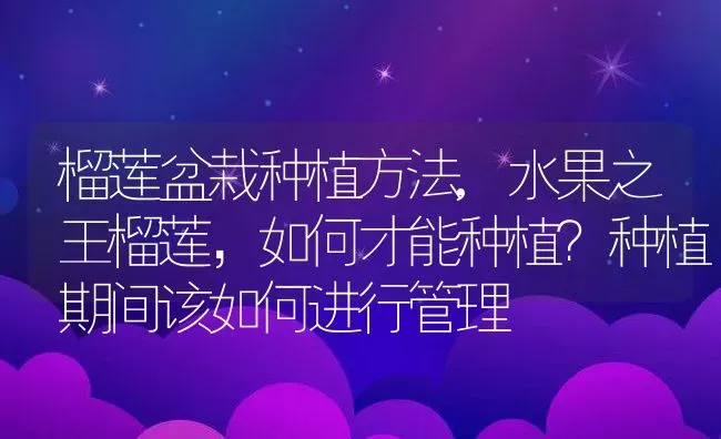 榴莲盆栽种植方法,水果之王榴莲，如何才能种植？种植期间该如何进行管理 | 养殖常见问题