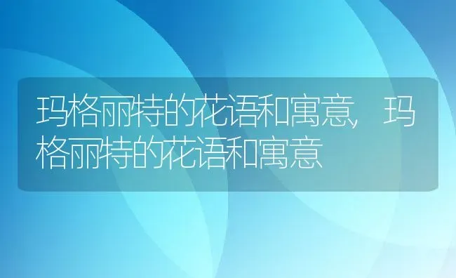玛格丽特的花语和寓意,玛格丽特的花语和寓意 | 养殖常见问题