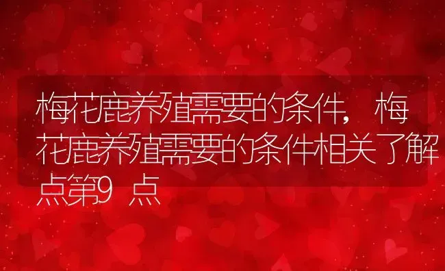 梅花鹿养殖需要的条件,梅花鹿养殖需要的条件相关了解点第9点 | 养殖常见问题