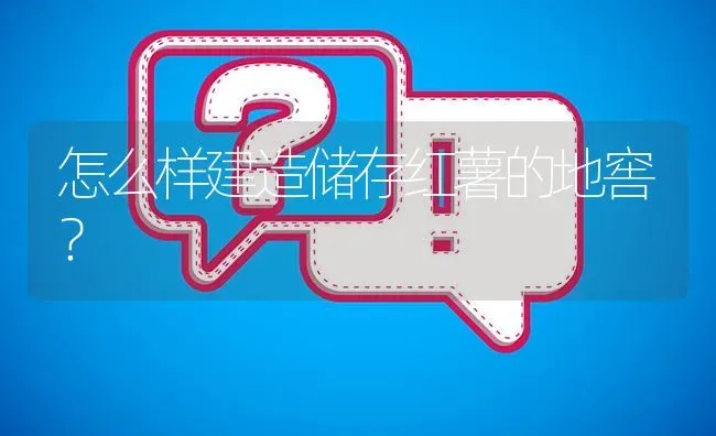 怎么样建造储存红薯的地窖? | 养殖问题解答