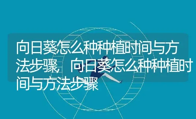 向日葵怎么种种植时间与方法步骤,向日葵怎么种种植时间与方法步骤 | 养殖常见问题