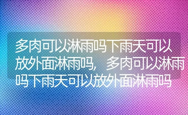 多肉可以淋雨吗下雨天可以放外面淋雨吗,多肉可以淋雨吗下雨天可以放外面淋雨吗 | 养殖常见问题