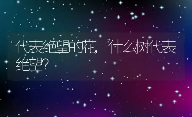 代表绝望的花,什么树代表绝望？ | 养殖常见问题