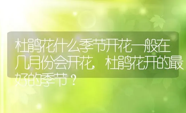 杜鹃花什么季节开花一般在几月份会开花,杜鹃花开的最好的季节？ | 养殖常见问题