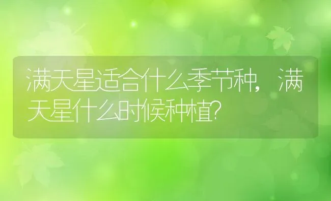 满天星适合什么季节种,满天星什么时候种植？ | 养殖常见问题