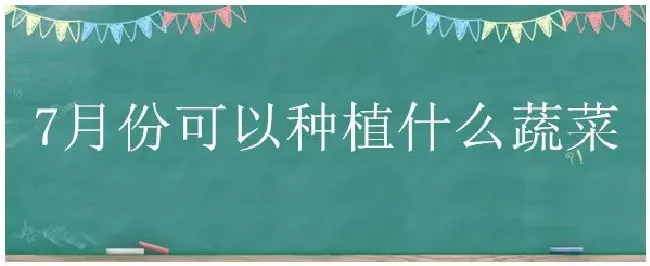 7月份可以种植什么蔬菜 | 生活常识