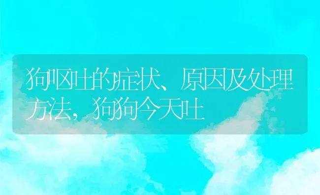 狗呕吐的症状、原因及处理方法,狗狗今天吐 | 养殖常见问题