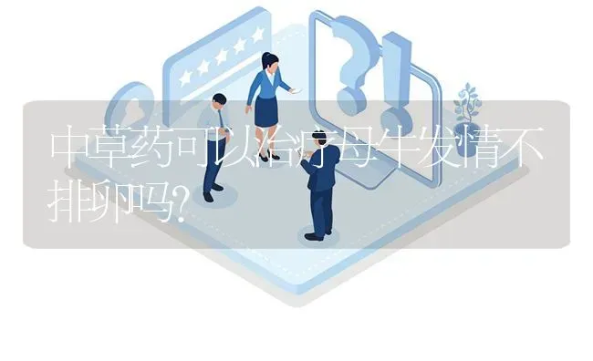 中草药可以治疗母牛发情不排卵吗? | 养殖问题解答