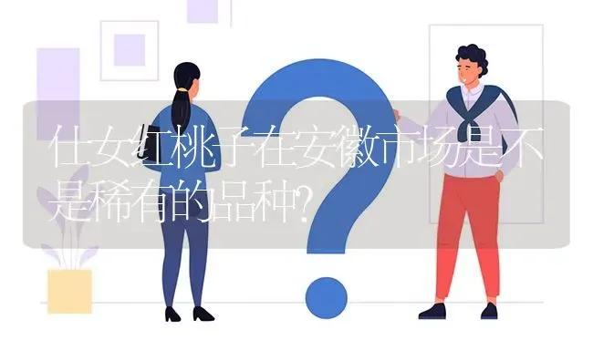 仕女红桃子在安徽市场是不是稀有的品种? | 养殖问题解答