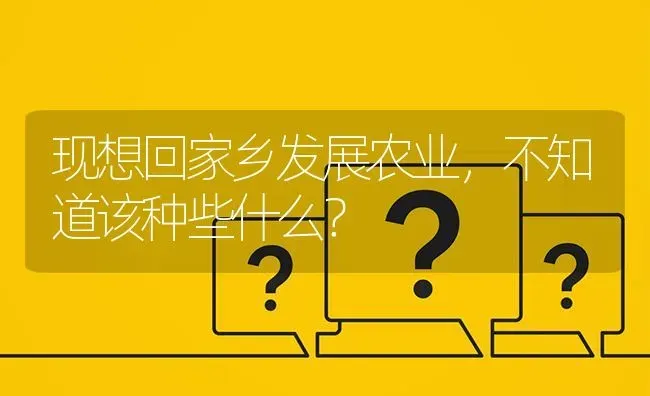 现想回家乡发展农业,不知道该种些什么? | 养殖问题解答