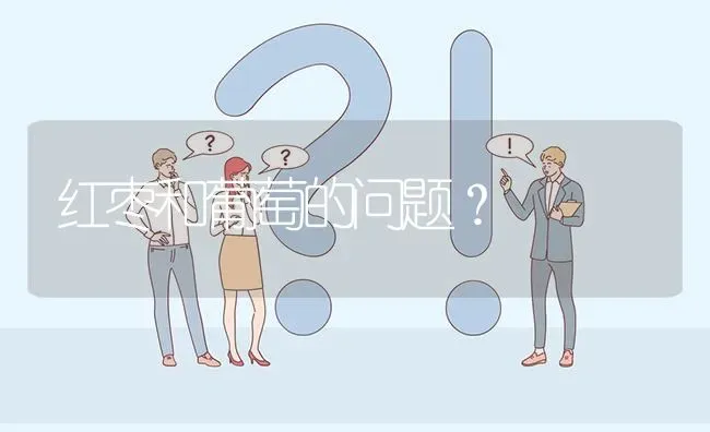 红枣和葡萄的问题? | 养殖问题解答