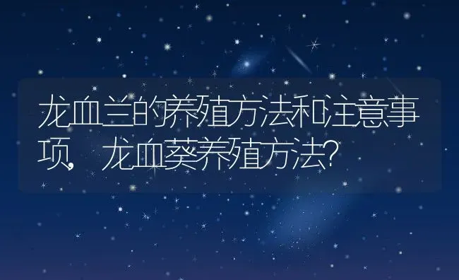 龙血兰的养殖方法和注意事项,龙血葵养殖方法？ | 养殖常见问题