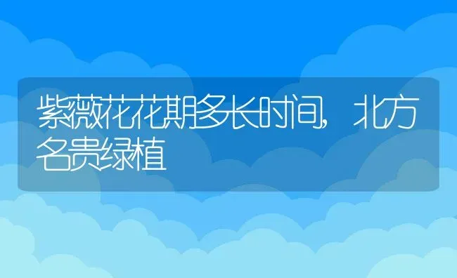 紫薇花花期多长时间,北方名贵绿植 | 养殖常见问题