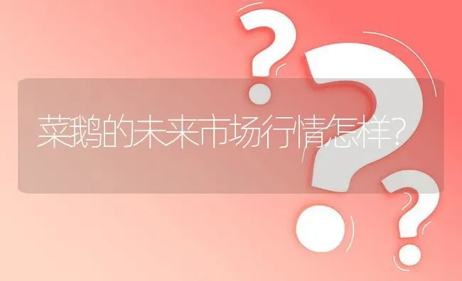 菜鹅的未来市场行情怎样? | 养殖问题解答