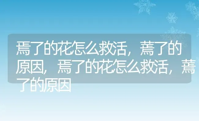 焉了的花怎么救活，蔫了的原因,焉了的花怎么救活，蔫了的原因 | 养殖常见问题