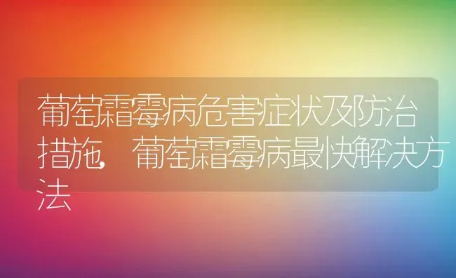 葡萄霜霉病危害症状及防治措施,葡萄霜霉病最快解决方法 | 养殖常见问题