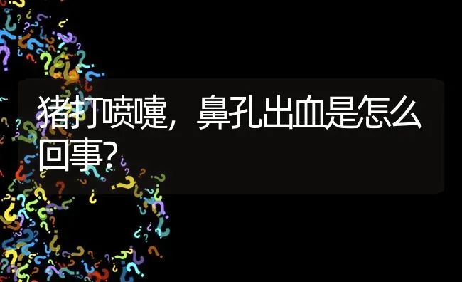 猪打喷嚏,鼻孔出血是怎么回事? | 养殖问题解答