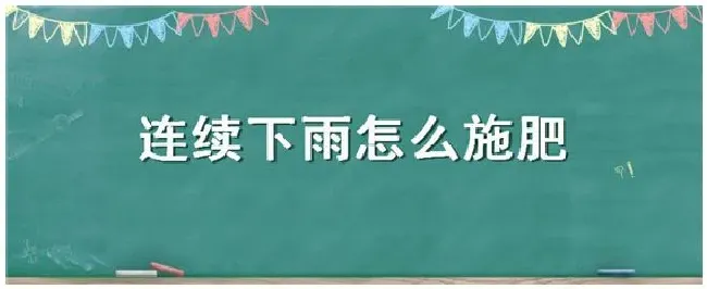 连续下雨怎么施肥 | 三农问答