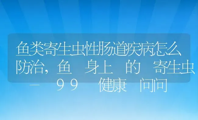 鱼类寄生虫性肠道疾病怎么防治,鱼 身上 的 寄生虫 - 99 健康 问问 | 养殖常见问题