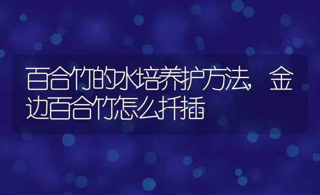 百合竹的水培养护方法,金边百合竹怎么扦插 | 养殖常见问题